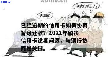 广东陈皮普洱茶：了解优质茶叶的选择、冲泡 *** 与口感体验