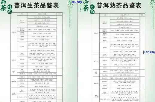 全面了解益心泉普洱茶价格及选购指南，轻松找到最适合您的茶叶