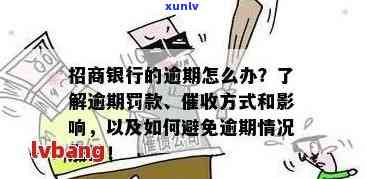 招商银行信用卡逾期解决方案：了解相关政策、如何处理以及如何避免逾期风险