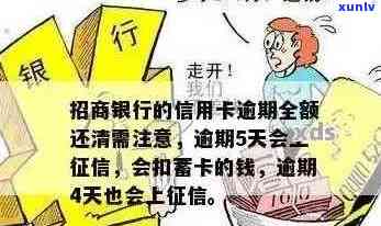 招商银行信用卡逾期还款：全额还清还是分期更好？