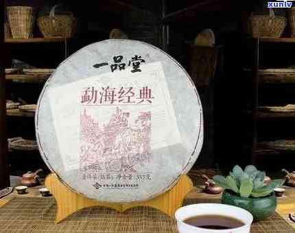 一品堂普洱茶：一线还是低调黑马？揭秘其市场地位与影响力