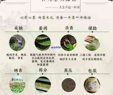 福兴普洱茶价格：全面解析及各种款式对比，助您轻松选购优质茶叶