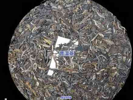 千家寨普洱茶哪里生产发布会：口感特点揭秘