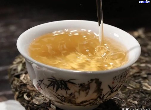 普洱茶品尝与饮用时间的艺术：何时最适宜？