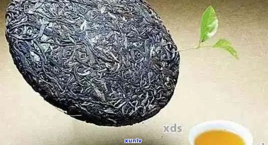 普洱茶存：玻璃罐是否是选择？是否含有素？