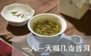 一个人喝几克普洱茶