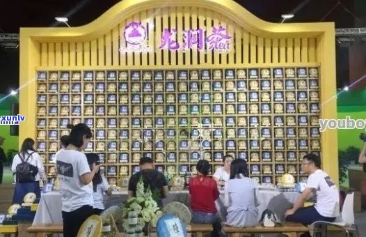 第十四届普洱茶博览会：全貌展示、品鉴体验与行业趋势解读