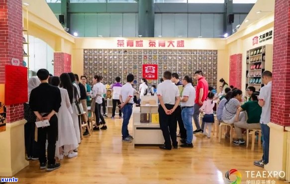 第十四届普洱茶博览会：全貌展示、品鉴体验与行业趋势解读