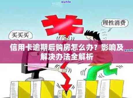 和田籽料碧玉手镯：价格、价值与市场一览表