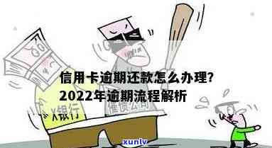 信用卡逾期到哪缴款？2022年逾期还款完整流程与处理方式