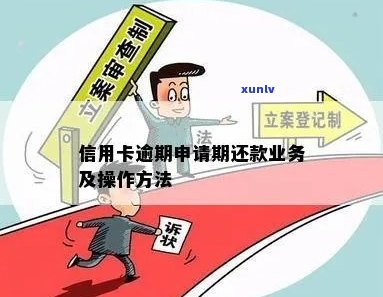 翡翠净货：了解真正的高品质珠宝选购指南