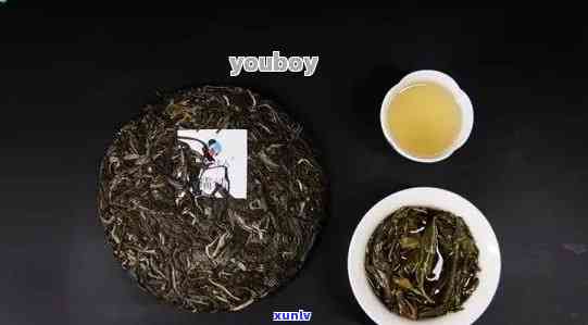 新2023年普洱茶十大名茶排行榜：古树茶、生茶与熟茶的对比与品鉴指南