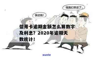 2020年信用卡逾期：金额，人数，天数，利息及逾期判断标准