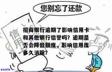 招商银行信用卡逾期20天：额度降低与封卡的可能性及相关影响