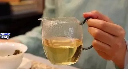 如何正确泡制十克普洱茶？需要多少水以及泡茶的具体步骤