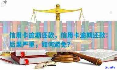 普洱茶减肥效果与注意事项：一天瘦多少斤是正常的？