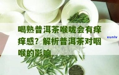 '普洱茶泡在水里多长时间就不能喝了？普洱茶泡多久算过期？'