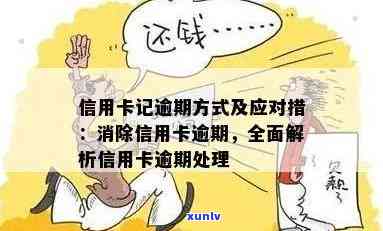 '喝普洱茶第二天都头晕怎么回事儿：解决 *** 与可能原因'