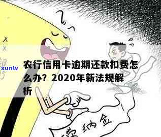 农行信用卡透支逾期还款怎么办：2020年新法规详解