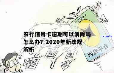 农行信用卡透支逾期还款怎么办：2020年新法规详解