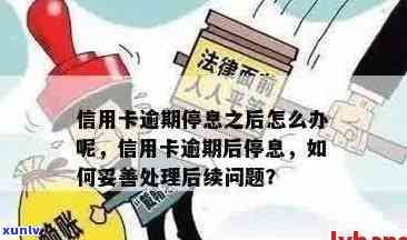 信用卡逾期已停卡，我应该如何解决？逾期后果、恢复信用步骤一网打尽！