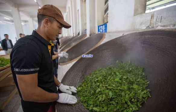 云南人在外做普洱茶