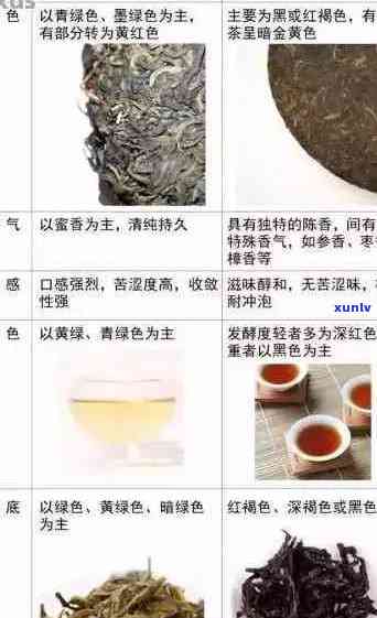 普洱茶的营养成分分析：绿茶、黑茶、生茶和熟茶的比较