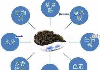 普洱茶的营养成分分析：绿茶、黑茶、生茶和熟茶的比较