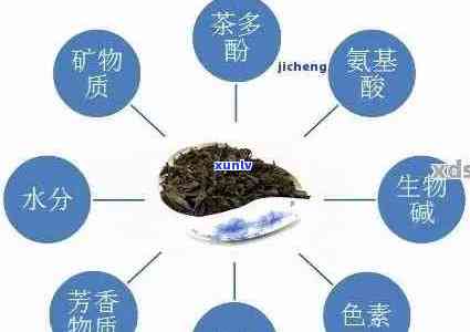 普洱茶的营养成分分析：绿茶、黑茶、生茶和熟茶的比较