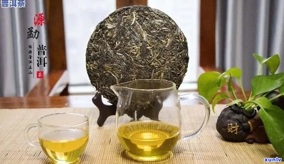 福瑞号普洱茶：品质、口感与独特风味的完美结合