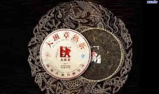 百年臻品天月普洱茶：品质、历与传承的全方位解析