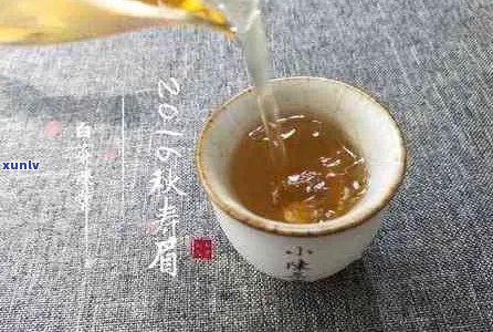 白茶与普洱茶的完美融合：泡茶技巧与饮用体验探讨