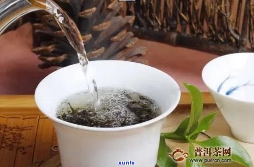 白茶与普洱茶的完美融合：泡茶技巧与饮用体验探讨