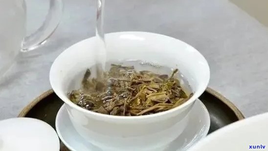 白茶与普洱茶的完美融合：泡茶技巧与饮用体验探讨