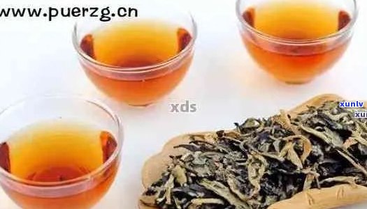 白茶与普洱茶的混合功效：一次泡饮的多重效益