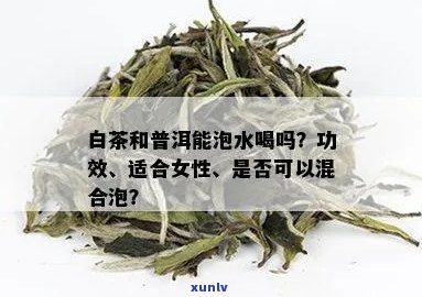 白茶与普洱茶的混合功效：一次泡饮的多重效益