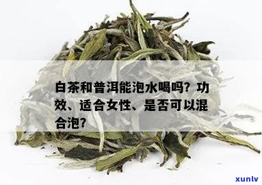 白茶与普洱茶的混合功效：一次泡饮的多重效益