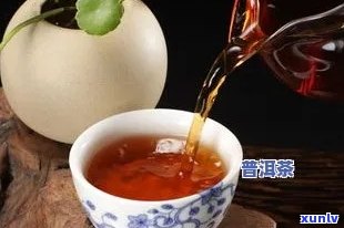 混合口感的奇妙茶饮：白茶与普洱茶的独特融合