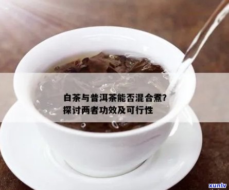 混合口感的奇妙茶饮：白茶与普洱茶的独特融合