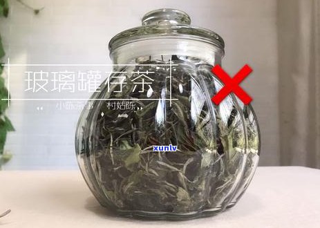 白茶和普洱茶可以一起存吗？如何正确保存茶叶以保持其品质？