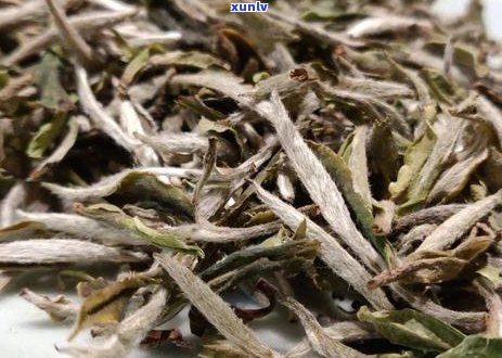 白茶和普洱茶可以一起存吗？如何正确保存茶叶以保持其品质？