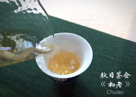 白茶和普洱茶可以一起存吗？如何正确保存茶叶以保持其品质？