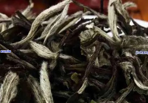 白豪银尖是普洱茶吗？还是绿茶或白茶？价格和口感如何？