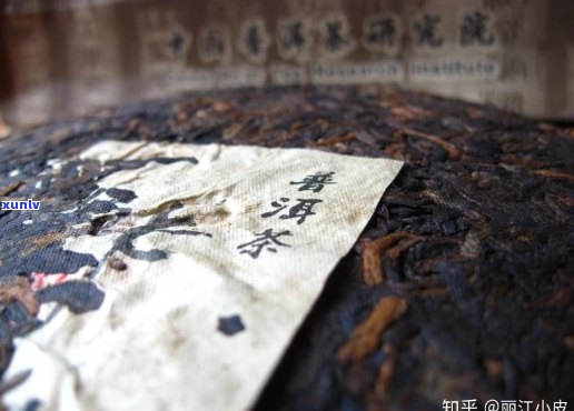 普洱茶散茶价格表：全解析与市场行情