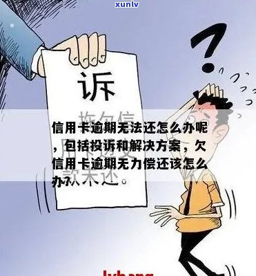 普洱茶存放可放干燥剂吗？有吗？普洱茶能放入干燥箱吗？