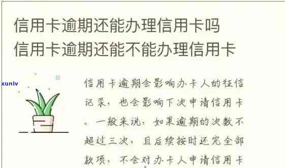 信用卡逾期处理时间及相关事项一览：了解逾期还款的全天候解决方案