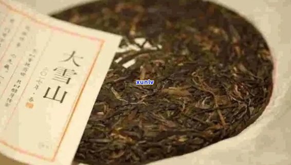 普洱茶大雪山：特点、产地与价格，带你了解这款茶叶的排名和产区