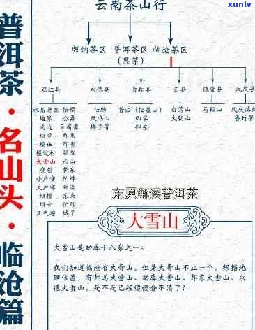 普洱茶大雪山：特点、产地与价格，带你了解这款茶叶的排名和产区