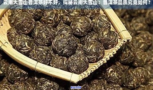 新 '大雪山普洱茶：品质与价值的完美结合，探究其价格构成'