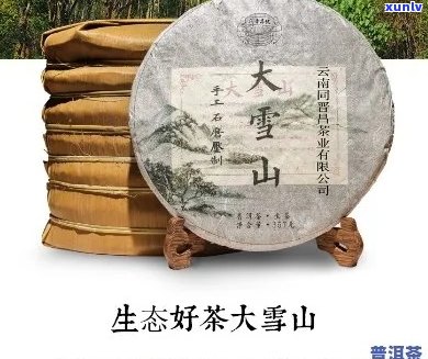 '大雪山普洱生茶价格' - 云南七子饼茶与普洱生茶价格表